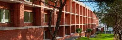 MSc in Economics